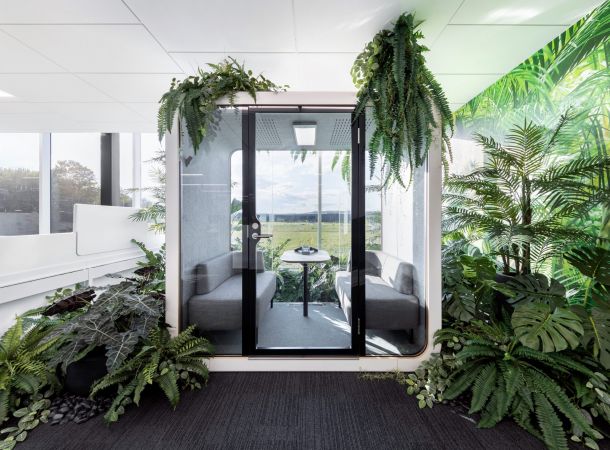 Panthera Dental Jungle